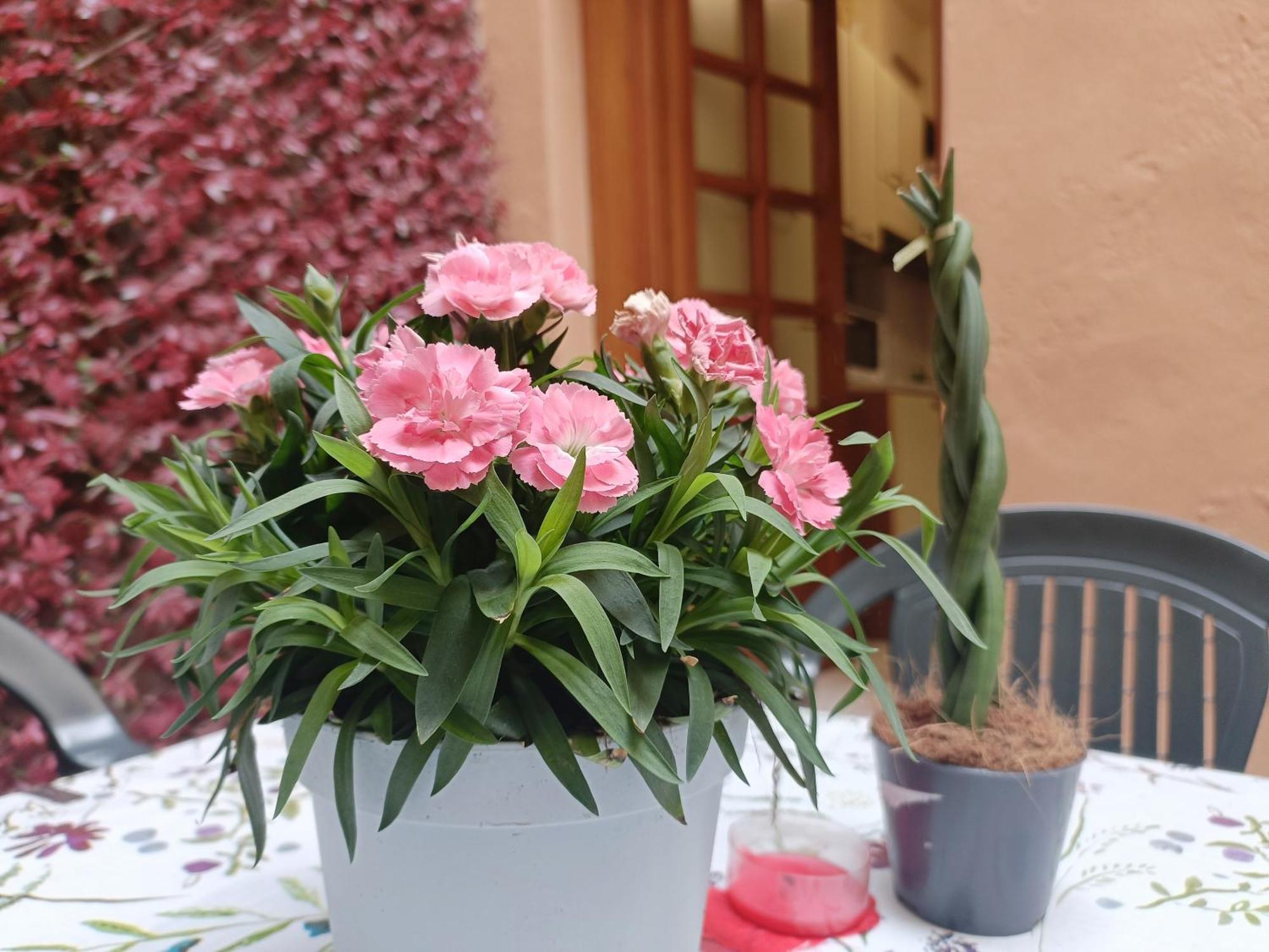 Ferienwohnung Il Giardino Segreto Lucca Exterior foto